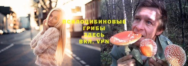 бошки Армянск